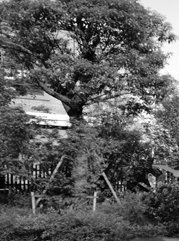 海珠注册公司